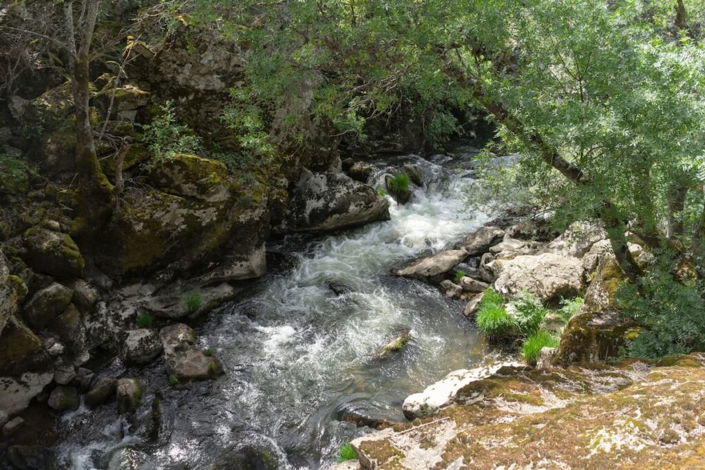 Imagem mostra uma bela cachoeira no RJ, Brasil.