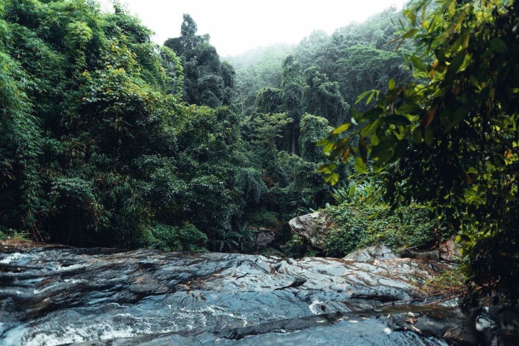 Imagem mostra uma das principais cachoeiras do Rio de Janeiro.