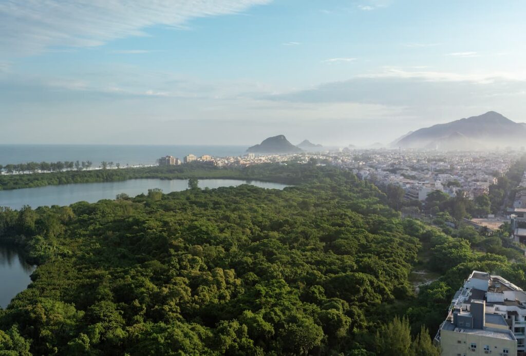 Imagem mostra Parque Nacional da Floresta da Tijuca.