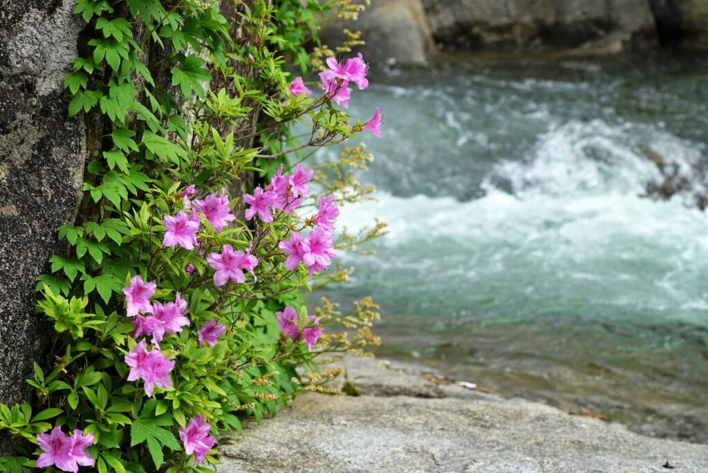 Imagem mostra poço cristalino formado pela queda 'água na cachoeira do JK em Formosa, Goiás.