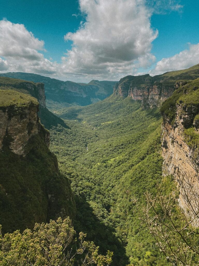 Imagem mostra o Vale do Capão, Chapada Diamantina.